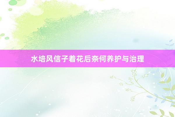 水培风信子着花后奈何养护与治理